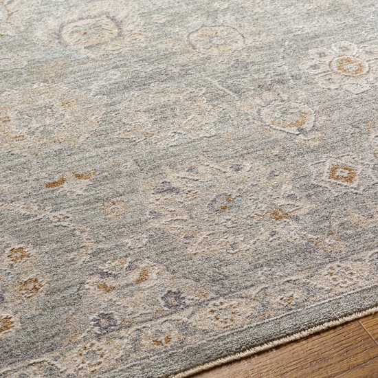 Surya Avant Garde Rug 2'7" X 4' - Dusty Sage, Light Beige