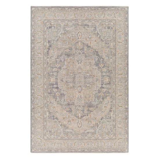 Surya Avant Garde Rug 10' X 14' ( Denim)