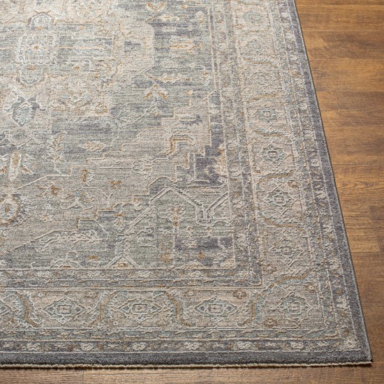 Surya Avant Garde Rug 2'7" X 10' ( Denim, Dusty Sage)