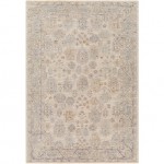 Surya Avant Garde Rug 2' X 3' Medium Gray