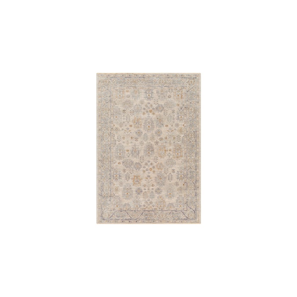 Surya Avant Garde Rug 2' X 3' Medium Gray Surya Avant Garde Rug 2' X 3' Medium Gray