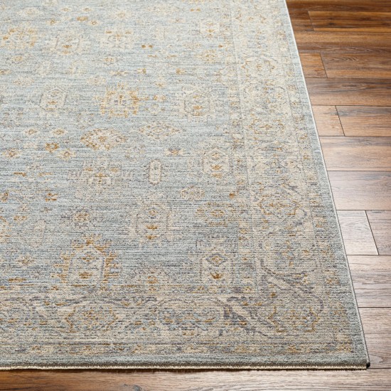 Surya Avant Garde Rug 2' X 3' (Medium Gray)
