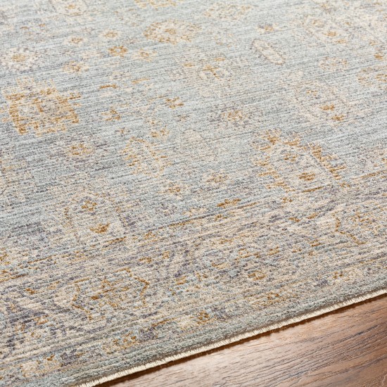 Surya Avant Garde Rug 2' X 3' (Medium Gray)