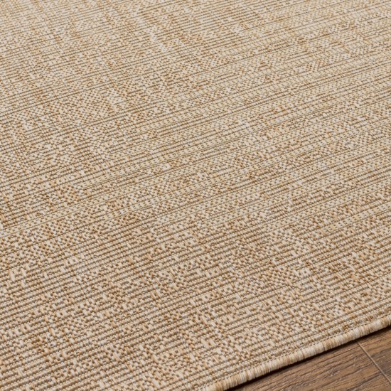 Surya Eagean Eag-2416 Rug 2' X 2'11"