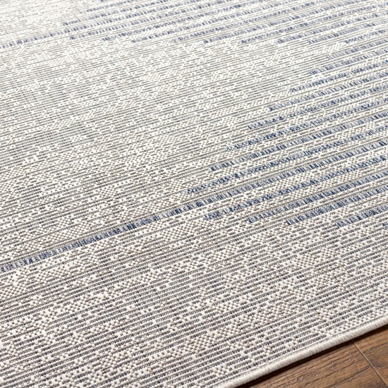 Surya Eagean Rug 2'7" X 10' (Oatmeal, Gray)