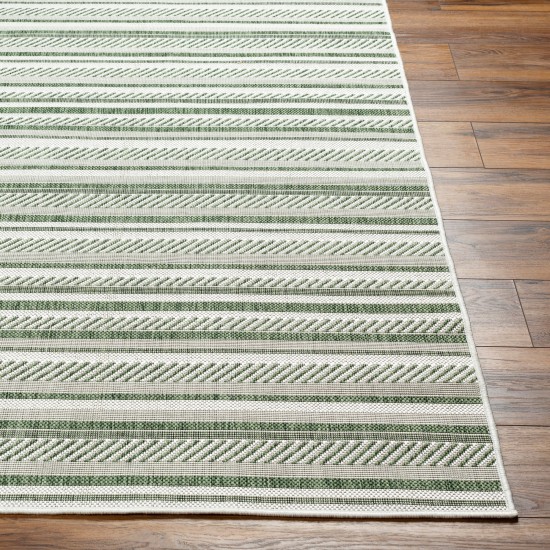 Surya Eagean Eag-2422 Rug 2'7" X 10'