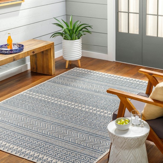 Surya Eagean Eag-2428 Rug 2'7" X 10'