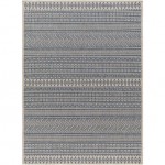 Surya Eagean Eag-2428 Rug 7'10" Square