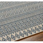 Surya Eagean Eag-2428 Rug 7'10" Square