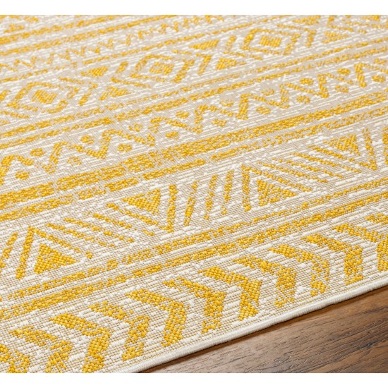 Surya Eagean Eag-2431 Rug 2'7" X 10'