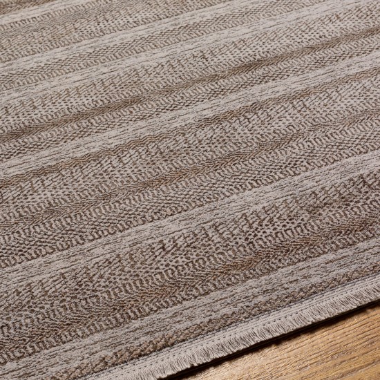 Surya Eclipse Light Gray Rug 2' X 3'3"