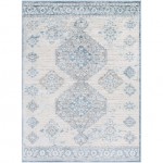 Surya Enfield Rug 5'3" X 7' - Blue