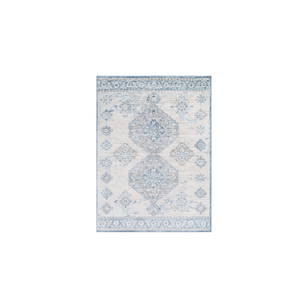 Surya Enfield Rug 5'3" X 7' - Blue