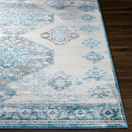 Surya Enfield Rug 5'3" X 7' - Blue