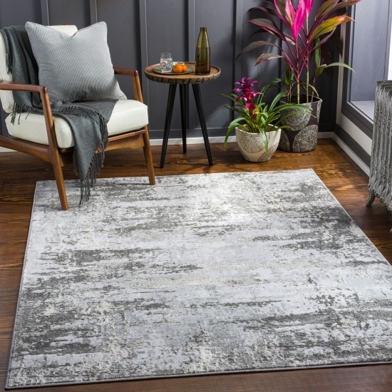 Surya Enfield Charcoal & Gray Rug 6'7" X 9'