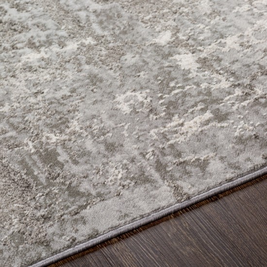 Surya Enfield Charcoal & Gray Rug 6'7" X 9'