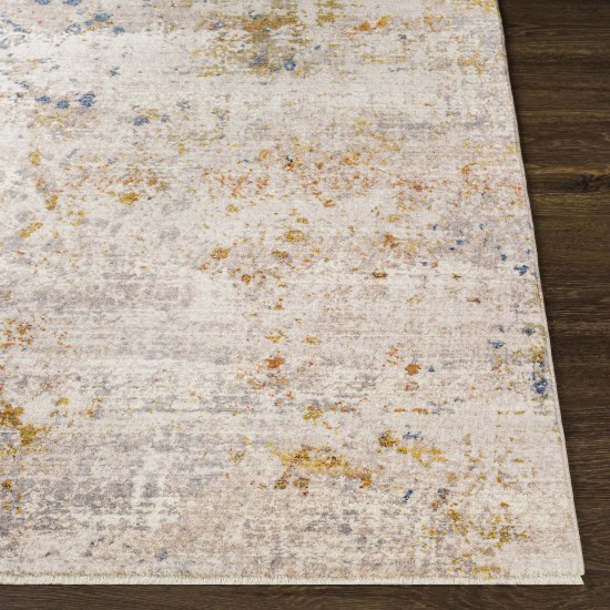 Surya Ephesians Medium Gray Rug 2'7" X 4'11"