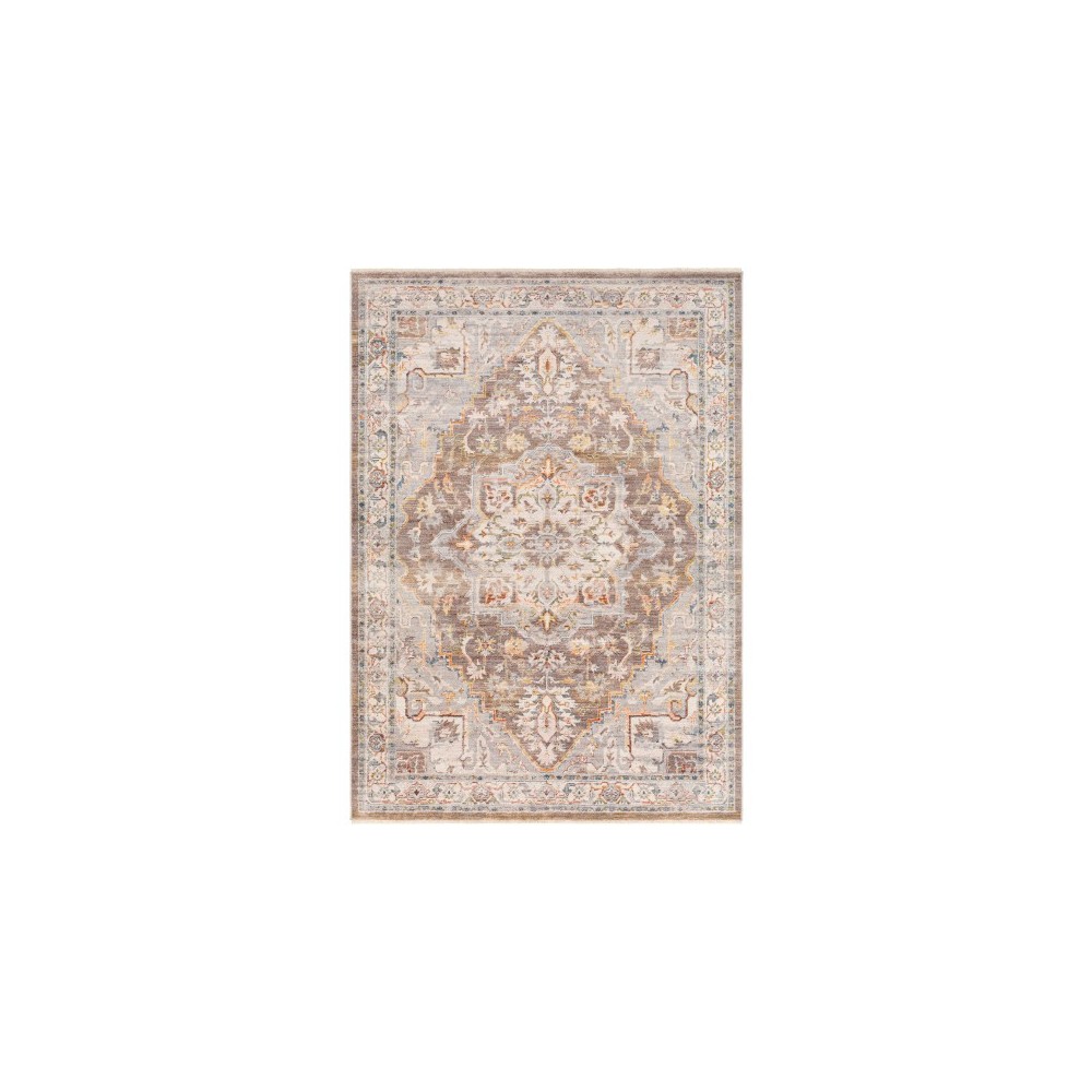 Surya Ephesians Medium Brown Rug 2' X 2'11"