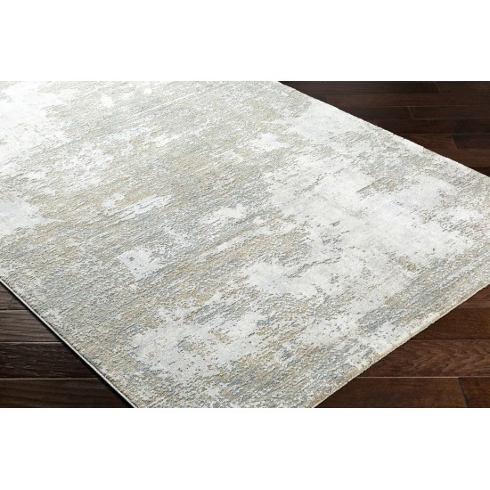 Surya Brunswick Bwk-2333 Rug 2'7" X 10'