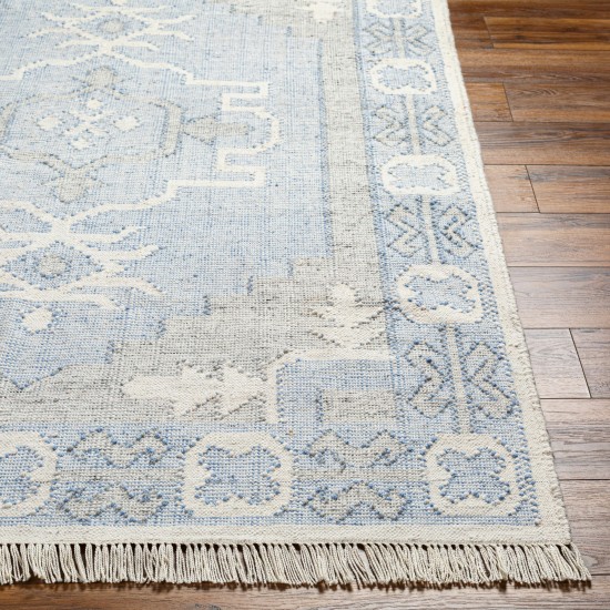 Surya Bursa Light Blue Rug 2' X 3'