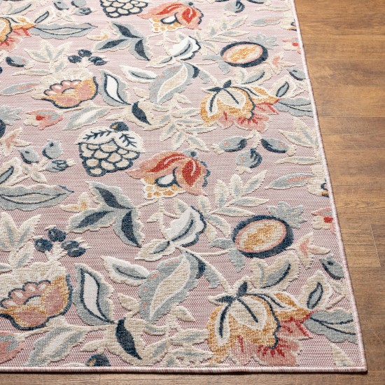Surya Cabo Cbo-2304 Rug 2'7" X 7'3"