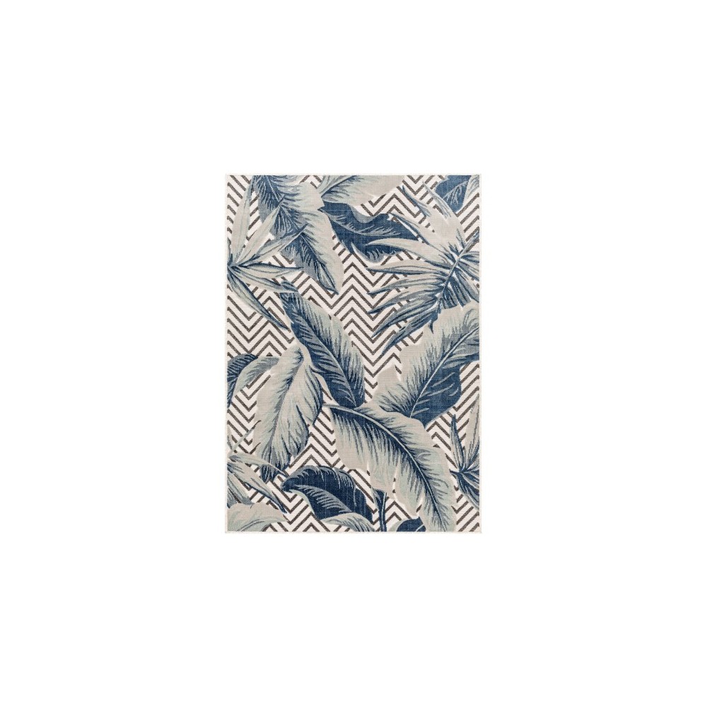 Surya Cabo Cbo-2305 Rug 6'5" X 9' Surya Cabo Cbo-2305 Rug 6'5" X 9'