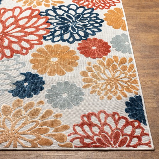 Surya Cabo Cbo-2308 Rug 2'7" X 7'3"