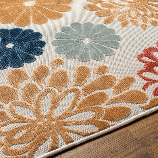 Surya Cabo Cbo-2308 Rug 2'7" X 7'3"