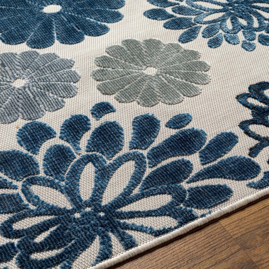 Surya Cabo Cbo-2309 Rug 2'7" X 7'3"