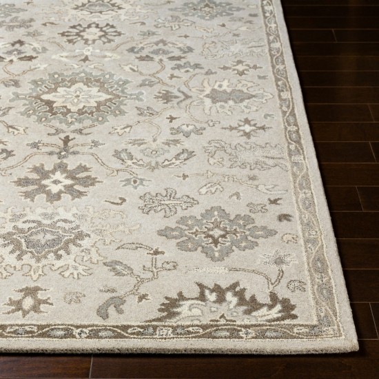 Surya Caesar Taupe Rug 12' X 18'