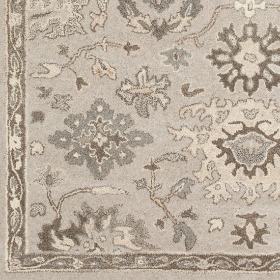 Surya Caesar Taupe Rug 12' X 18'