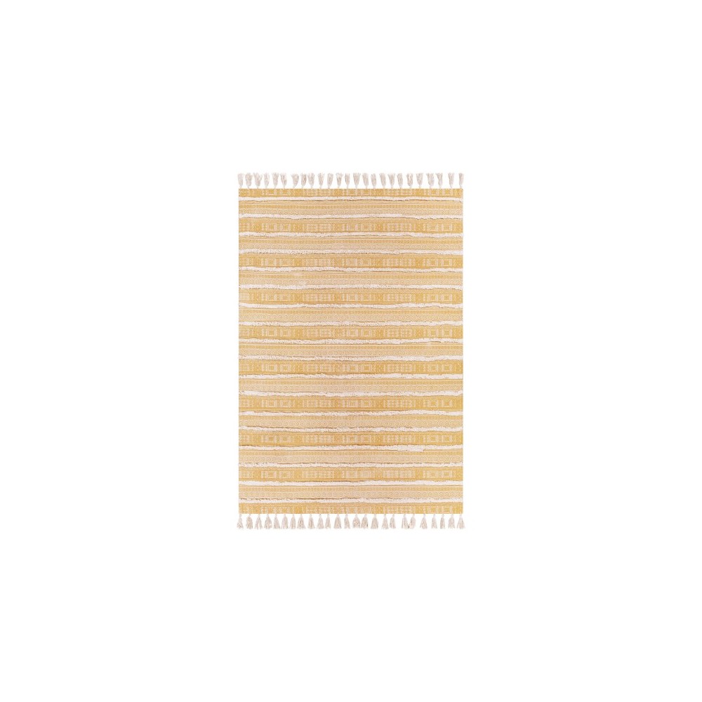 Surya Calisa Burnt Orange Rug 2'6" X 4'