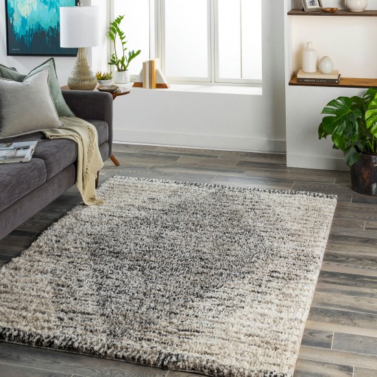 Surya Capella Shag Cps-2300 Rug 5'3" X 7'