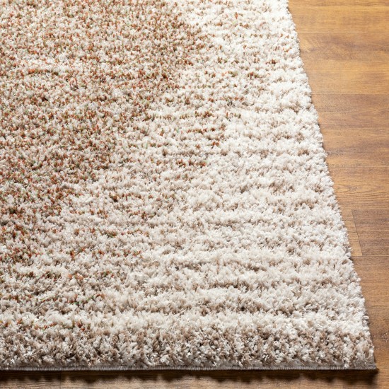 Surya Capella Shag Cps-2301 Rug 5'3" X 7'