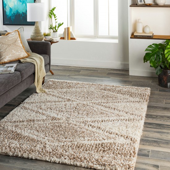 Surya Capella Shag Cps-2303 Rug 5'3" X 7'