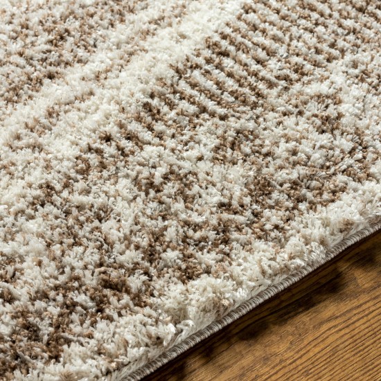 Surya Capella Shag Cps-2303 Rug 6'7" X 9'