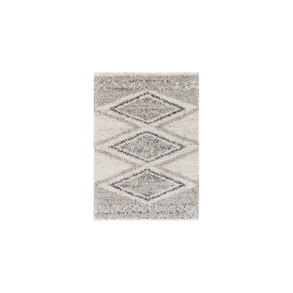 Surya Capella Shag Cps-2304 Rug 5'3" X 7'