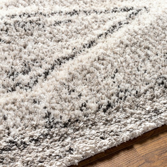 Surya Capella Shag Cps-2304 Rug 5'3" X 7'