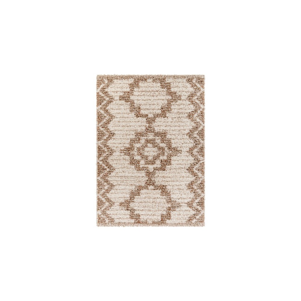 Surya Capella Shag Cps-2305 Rug 5'3" X 7'