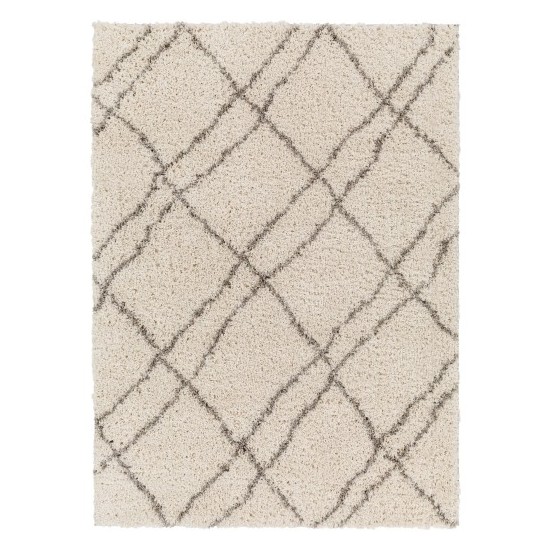 Surya Capella Shag Cps-2306 Rug 5'3" X 7'