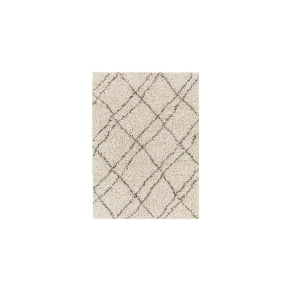 Surya Capella Shag Cps-2306 Rug 5'3" X 7'