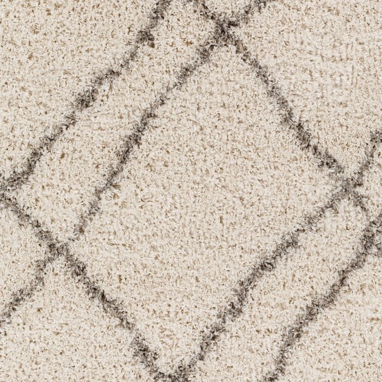 Surya Capella Shag Cps-2306 Rug 6'7" X 9'
