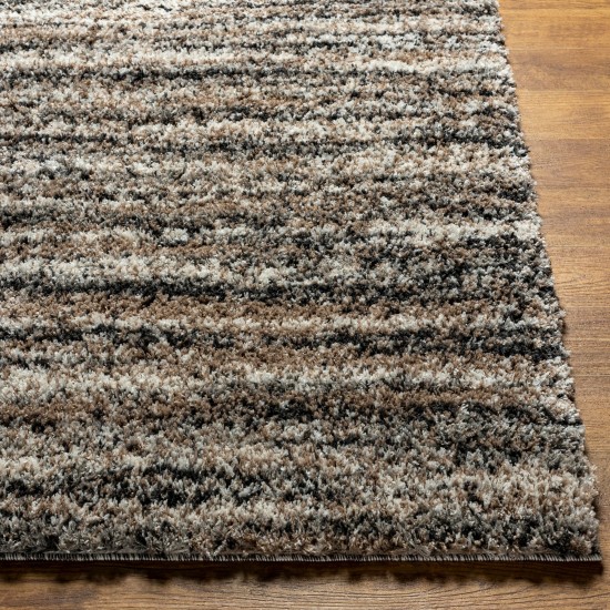 Surya Capella Shag Cps-2307 Rug 5'3" X 7'