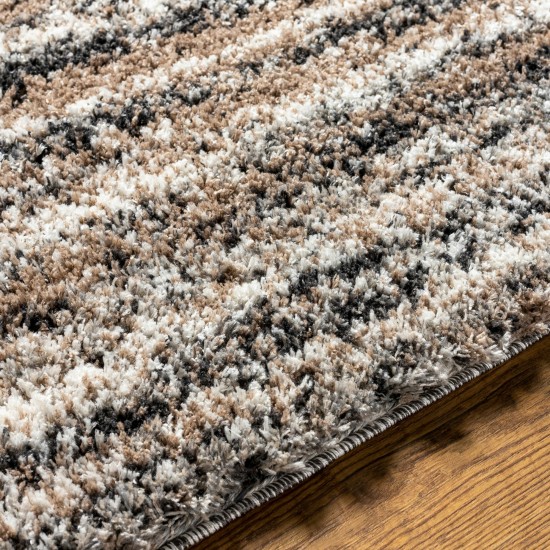 Surya Capella Shag Cps-2307 Rug 5'3" X 7'