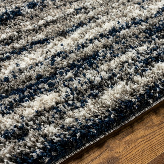 Surya Capella Shag Cps-2308 Rug 5'3" X 7'