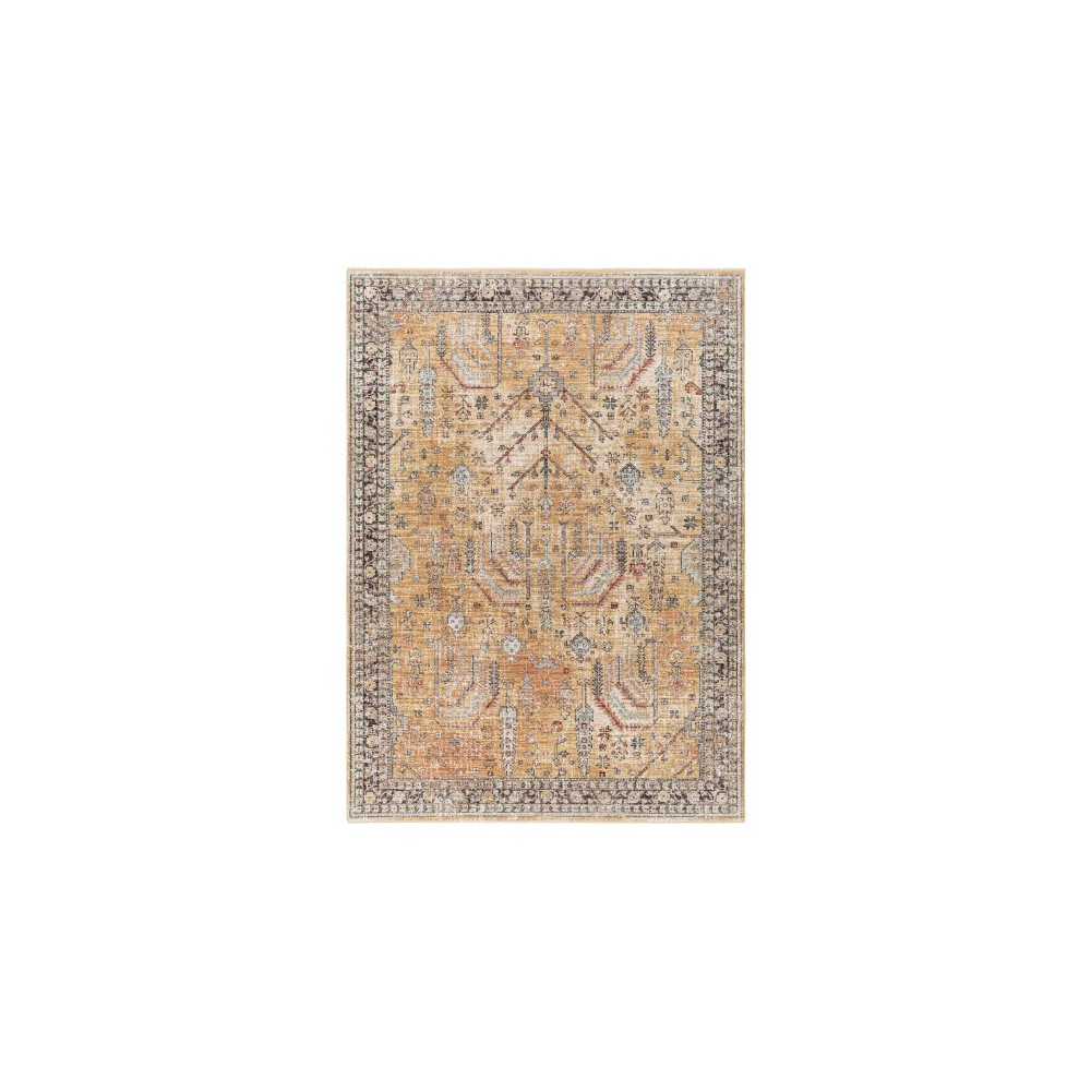 Surya Carlisle Csi-2316 Rug 2'11" X 7'10" Surya Carlisle Csi-2316 Rug 2'11" X 7'10"