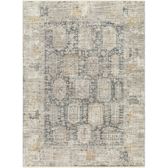 Surya Carlisle Csi-2319 Rug 2'11" X 10'