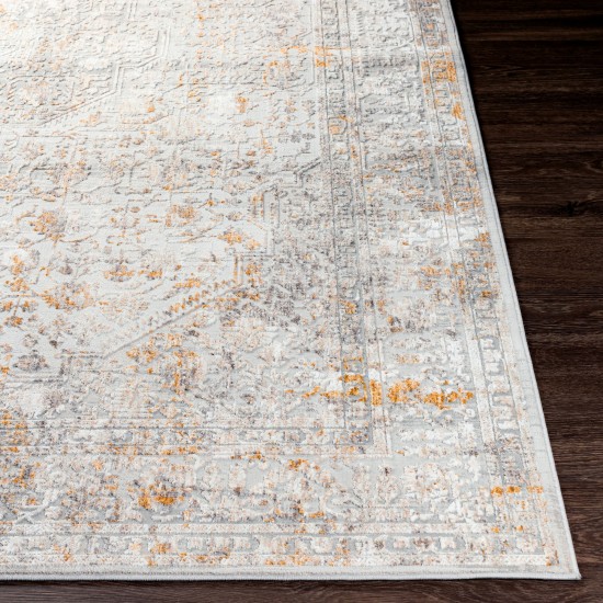 Surya Carmel Taupe Rug 2'7" X 4'