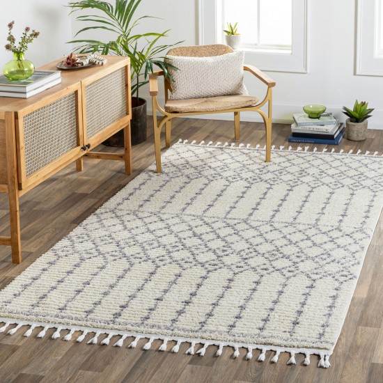 Surya Casablanca Shag Cag-2309 Rug 6'7" X 9'