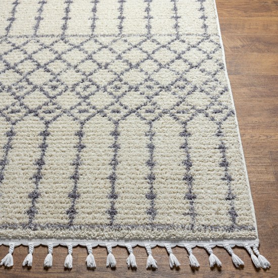 Surya Casablanca Shag Cag-2309 Rug 7'10" X 10'